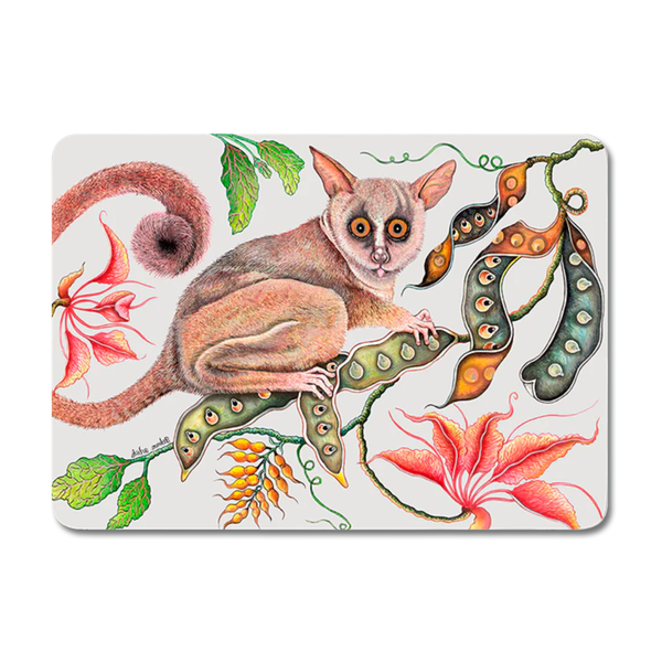 Set of Two Camp Critters Bush Baby Chalk Hard Board Placemats